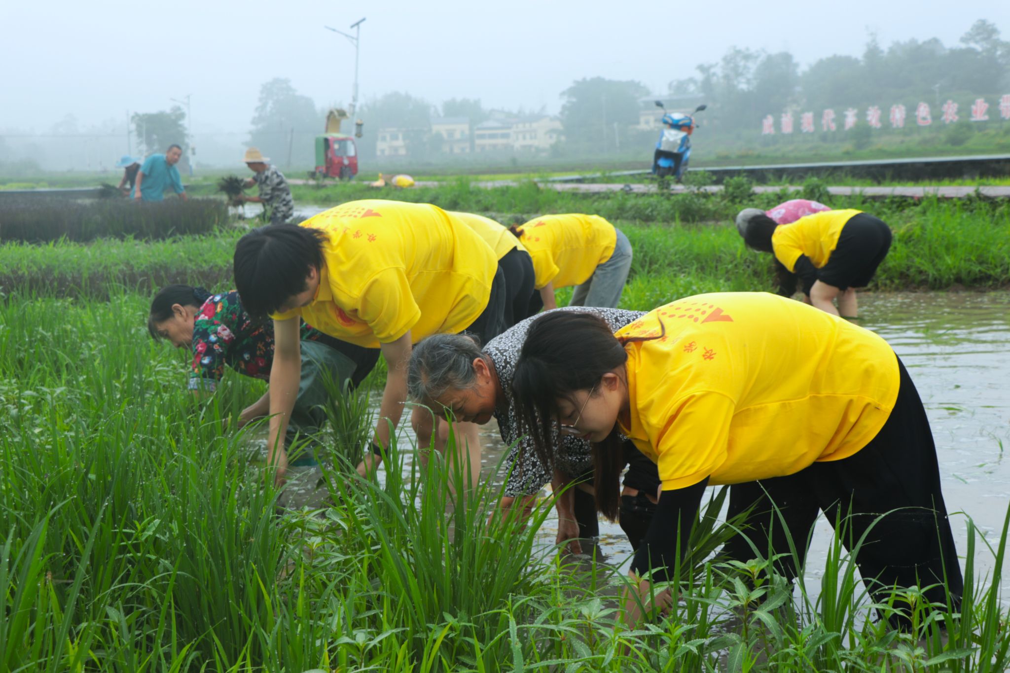 文件名稱:微信圖片_20250710152822.jpg原圖大小:2.31MB